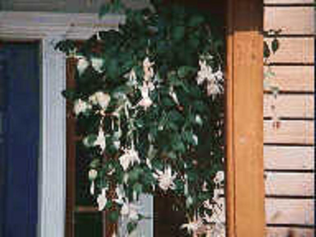 Chesapeake Inn Of Lenox Exteriör bild